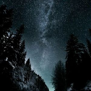 Meet your Posher, Ingrid